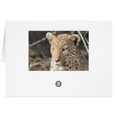 Leopard portrait cards (Back Horizontal)