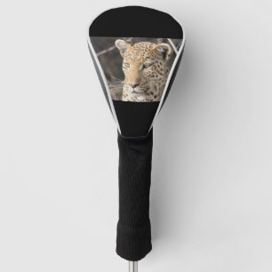Leopard portrait golf head cover