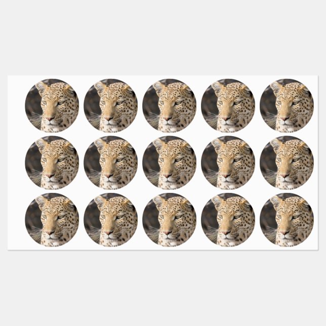 Leopard portrait labels (Sheet)