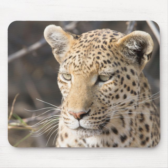 Leopard portrait mouse pad (Front)