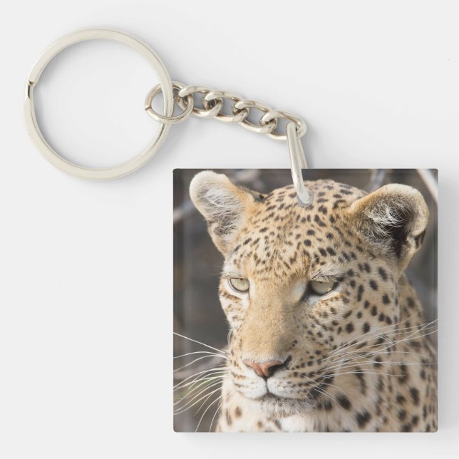 Leopard portrait photo keychain (Front)