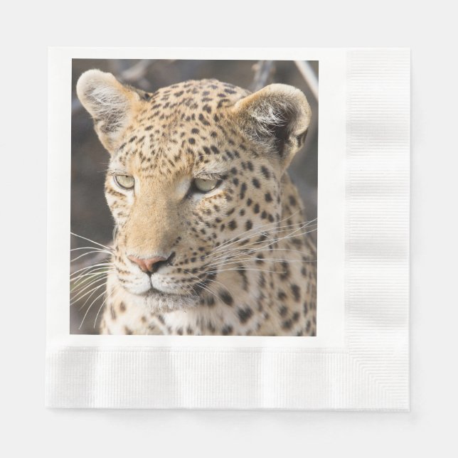 Leopard portrait photo napkins (Front)