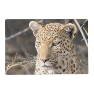 Leopard portrait photo placemat