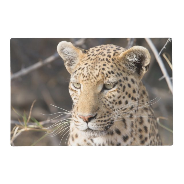 Leopard portrait photo placemat (Front)