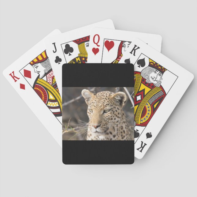 Leopard portrait poker cards (Back)