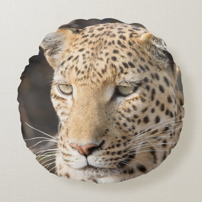 Leopard portrait round pillow (Front)