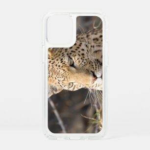 Leopard portrait speck iPhone 12 mini case