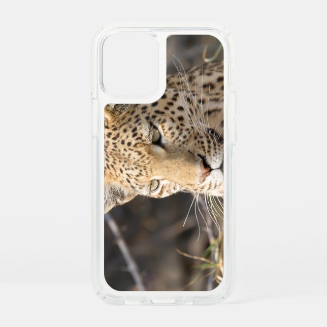 Leopard portrait speck iPhone 12 mini case (Front)