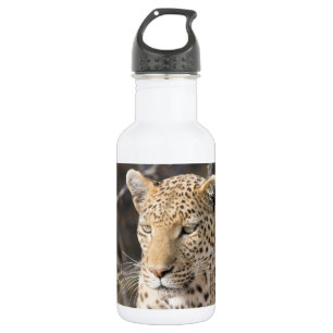 Leopard portrait water bottle