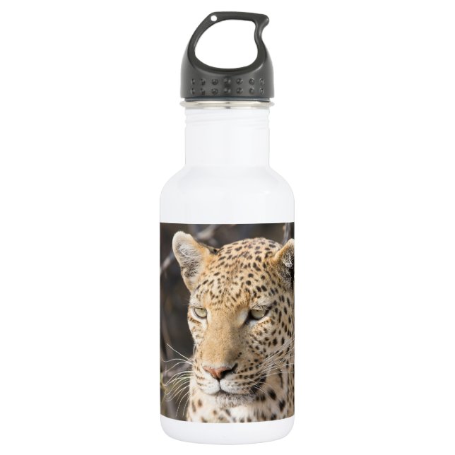 Leopard portrait water bottle (Front)