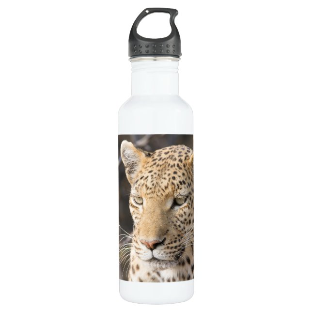 Leopard portrait water bottle (Front)