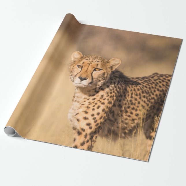 LEOPARD PORTRAIT WRAPPING PAPER (Unrolled)