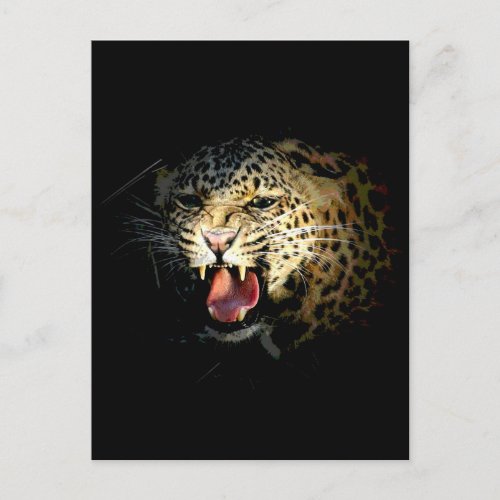 Leopard Postcard