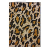 Leopard Print (Front)