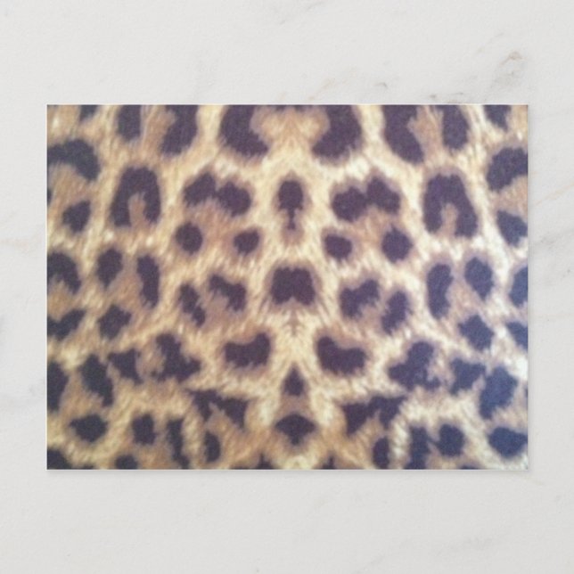 Leopard print #36884 postcard (Front)