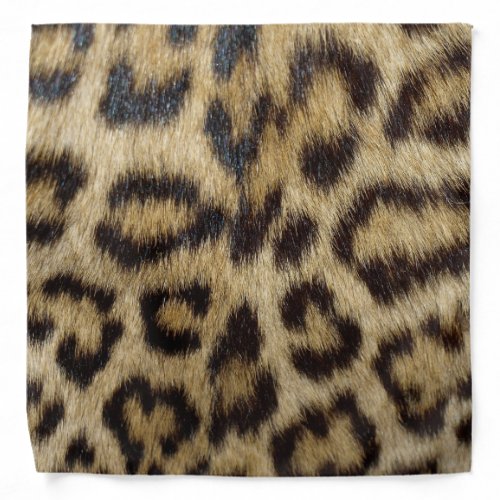 Leopard Print Bandana