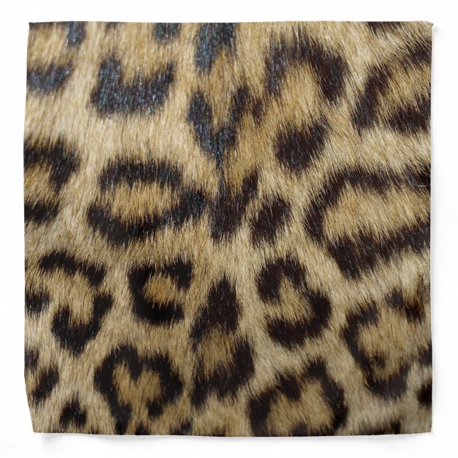 Leopard Print Bandana (Front)