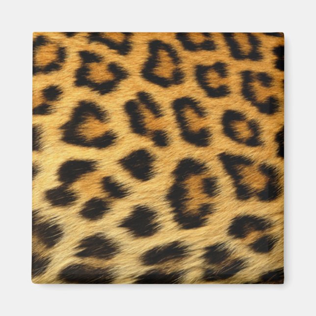 Leopard Print Magnet (Front)