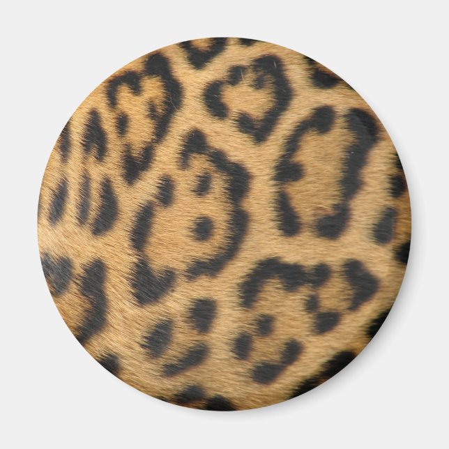 Leopard Print Magnet (Front)