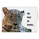 Leopard prints (Front Horizontal)