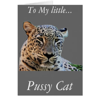Leopard prints cards