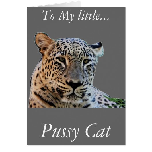 Leopard prints cards (Front)