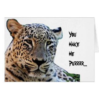 Leopard prints cards