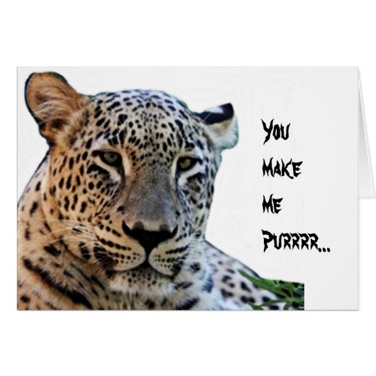 Leopard prints cards (Front Horizontal)