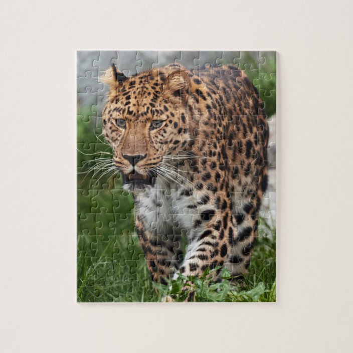 Leopard Puzzle | Zazzle.com