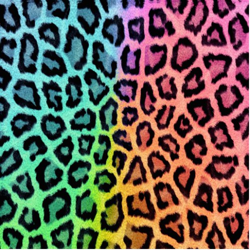 leopard rainbow bg cutout