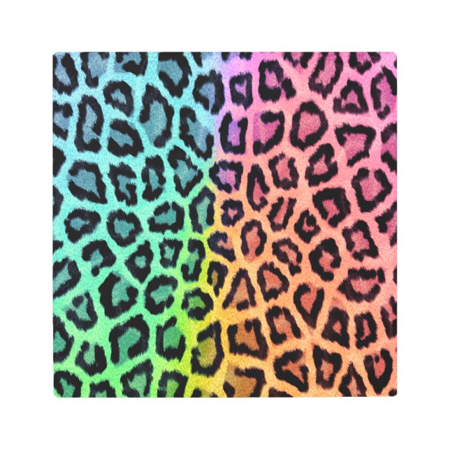 leopard rainbow bg metal print (Front)