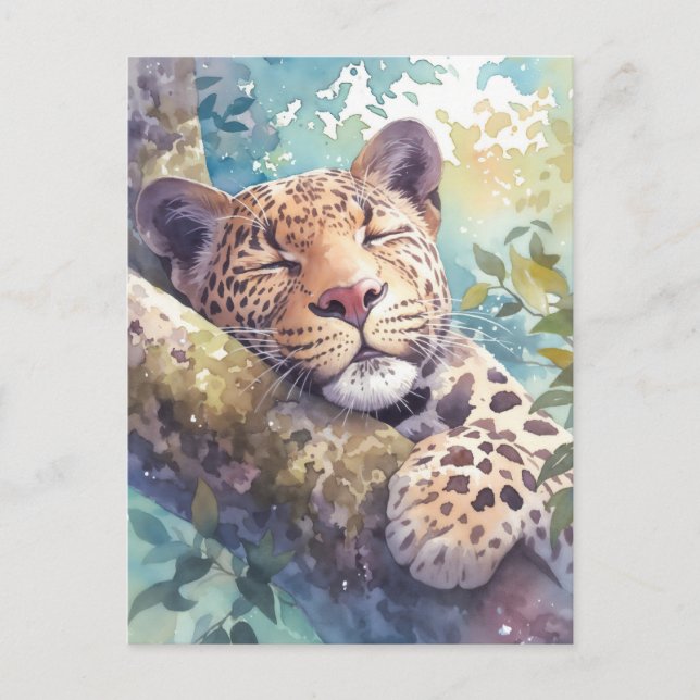 Leopard Resting on Tree Branch in Sunlit Forest Postcard (Front)