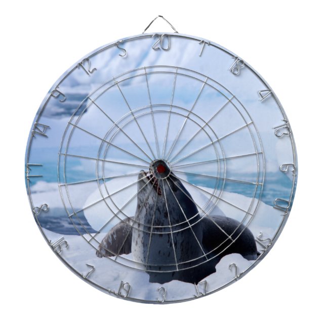Leopard Seal Dart Board (Front)
