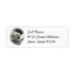 Leopard Seal Return Address Mailing Label