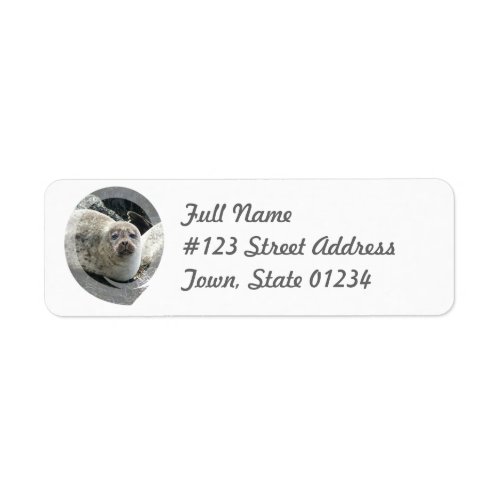 Leopard Seal Return Address Mailing Label