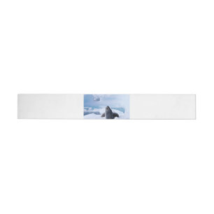 Leopard Seal Wrap Around Label