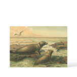 Leopard Seals, Vintage Aquatic Animals Marine Life