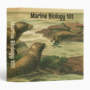 Leopard Seals, Vintage Aquatic Animals Marine Life 3 Ring Binder