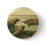 Leopard Seals, Vintage Aquatic Animals Marine Life Button