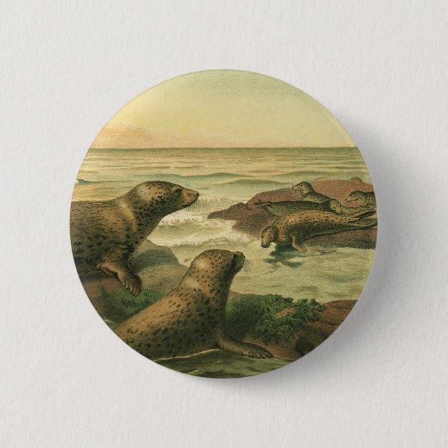 Leopard Seals, Vintage Aquatic Animals Marine Life Button (Front)