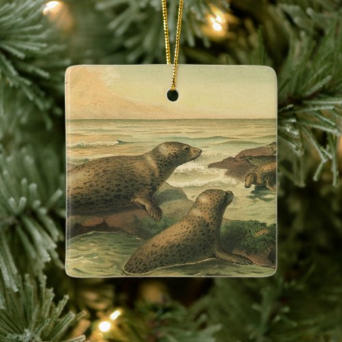 Leopard Seals Vintage Aquatic Animals Marine Life Ceramic Ornament