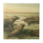 Leopard Seals, Vintage Aquatic Animals Marine Life Ceramic Tile
