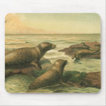Leopard Seals, Vintage Aquatic Animals Marine Life Mouse Pad