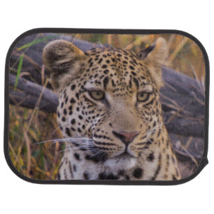 Leopard sitting, Botswana, Africa Car Mat