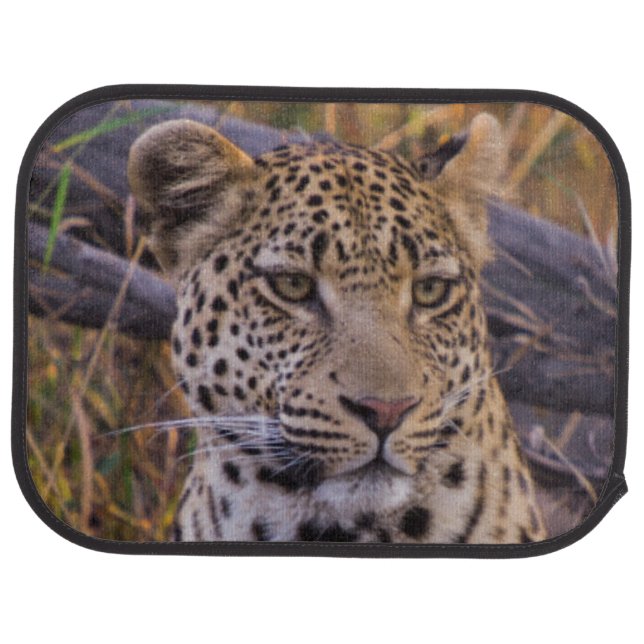 Leopard sitting, Botswana, Africa Car Mat (Rear)