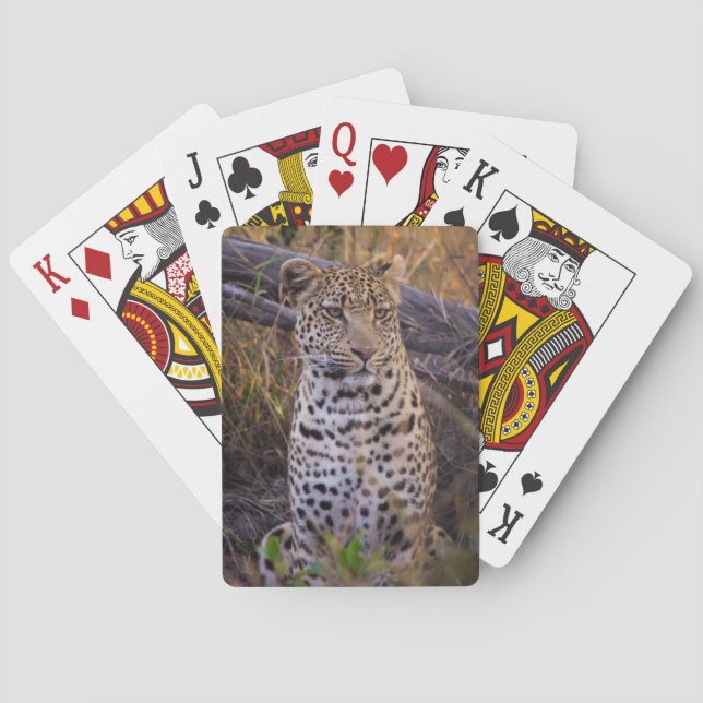 Leopard sitting, Botswana, Africa Poker Cards (Back)