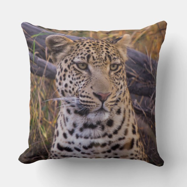 Leopard sitting, Botswana, Africa Throw Pillow (Front)