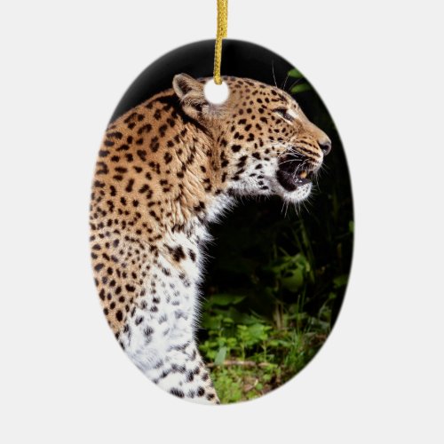 Leopard sitting ceramic ornament