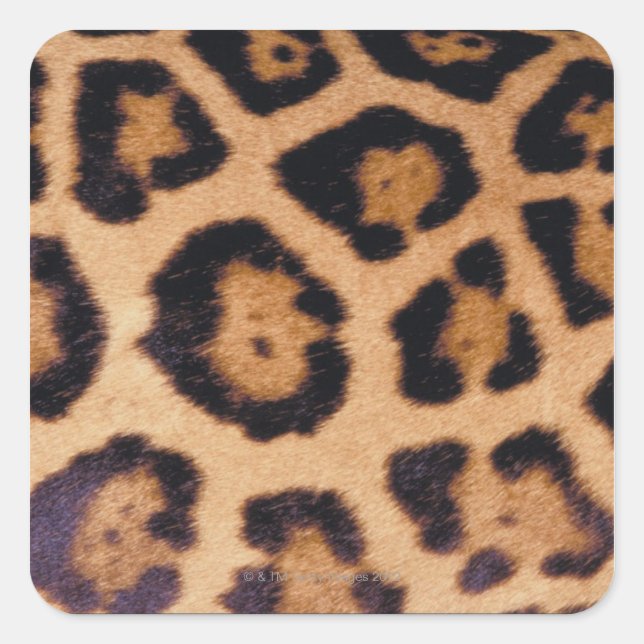 Leopard skin square sticker (Front)