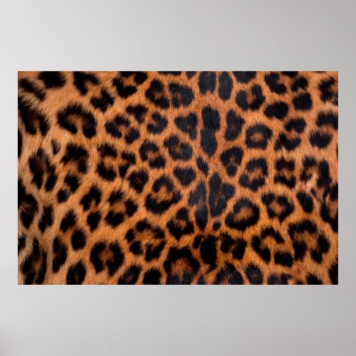 Leopard skin texture  Close_up leopard spot patte Poster